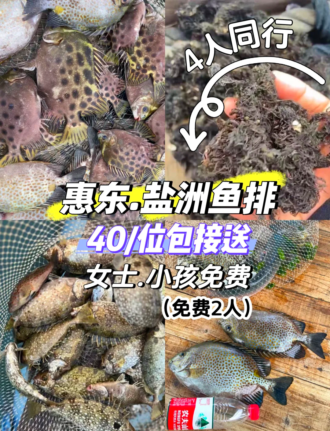 清澜港鱼排海钓(清澜港海洋潮汐表时间表)