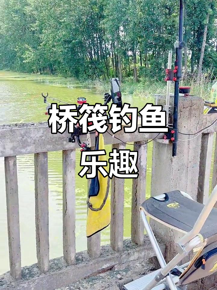 冬天桥上伐钓鱼技巧(明光哪里有荷花)