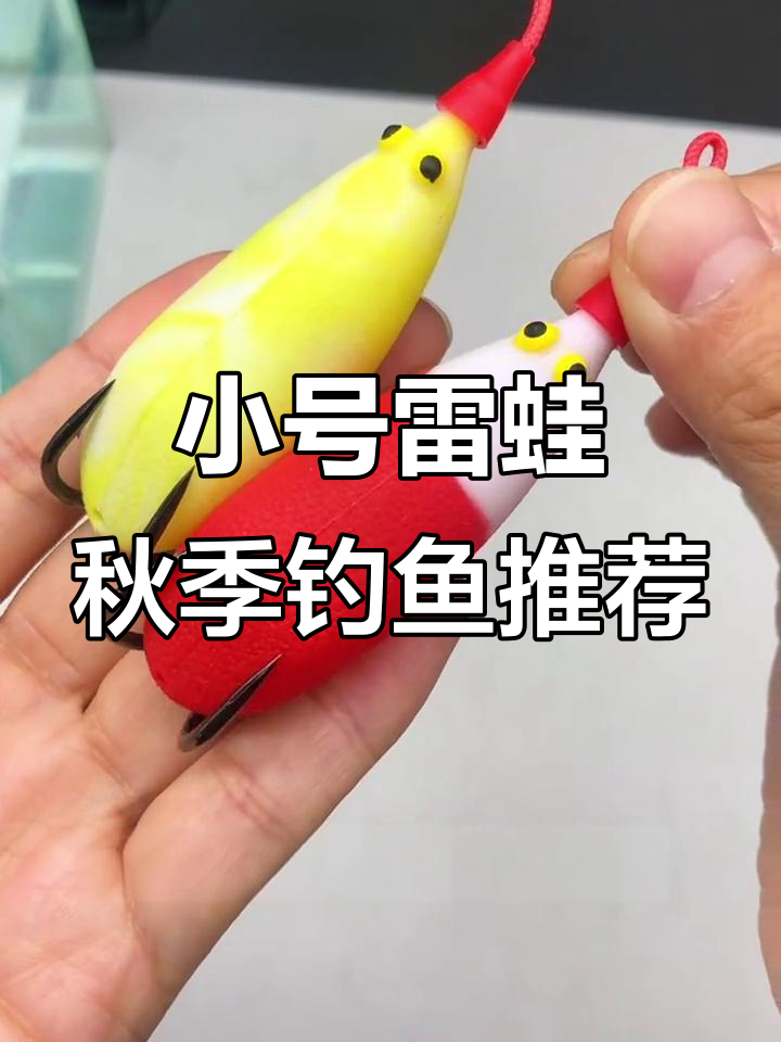 雷蛙钓黑鱼技巧教程(雷蛙钓黑鱼教学)