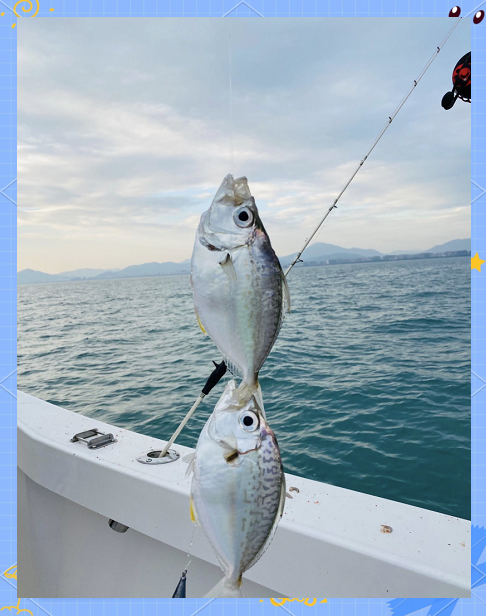 海钓与(海钓与气压的关系)