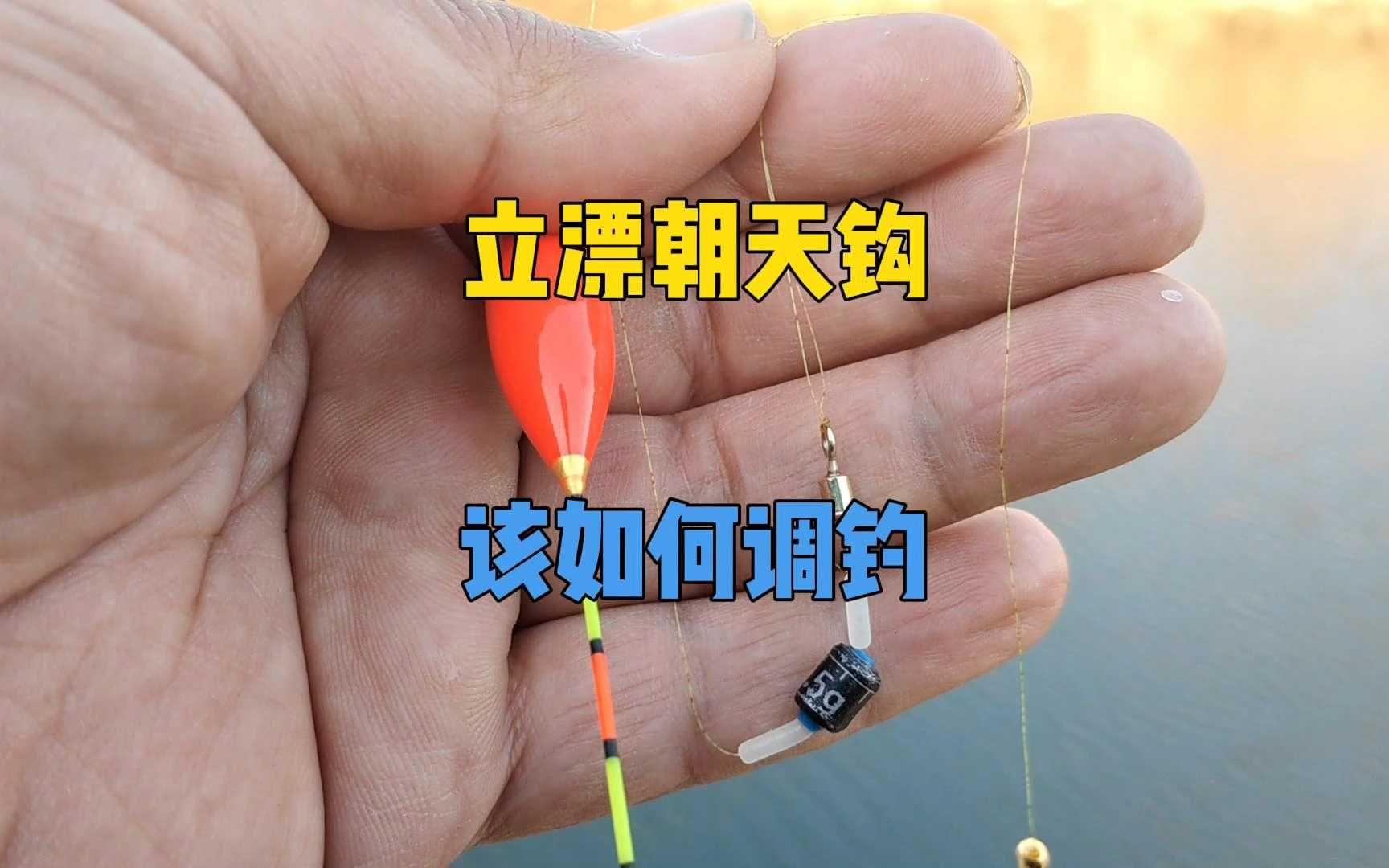 选立漂技巧(钓鱼立漂怎么选择)