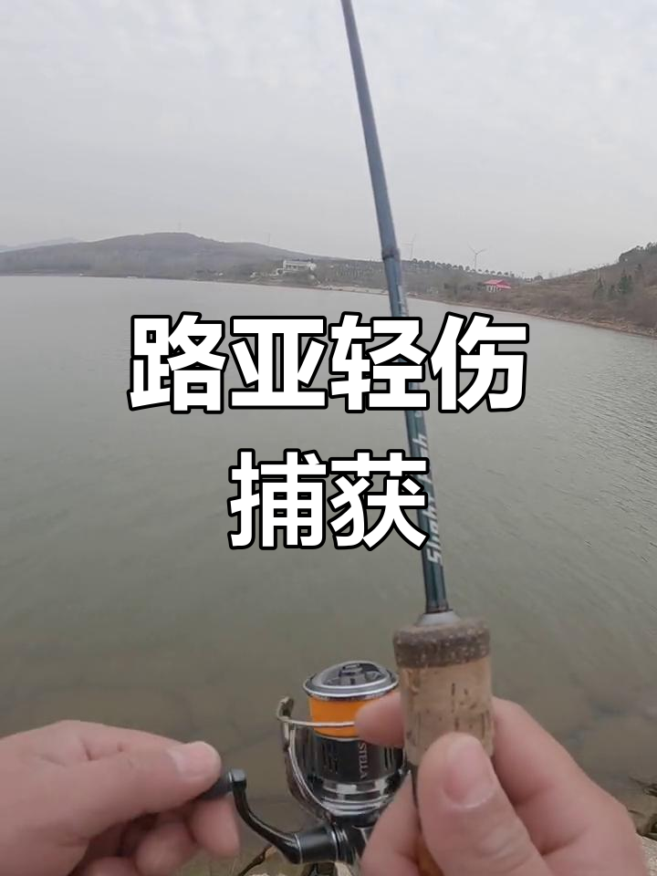 路亚青稍技巧(路亚青稍的最佳时间)
