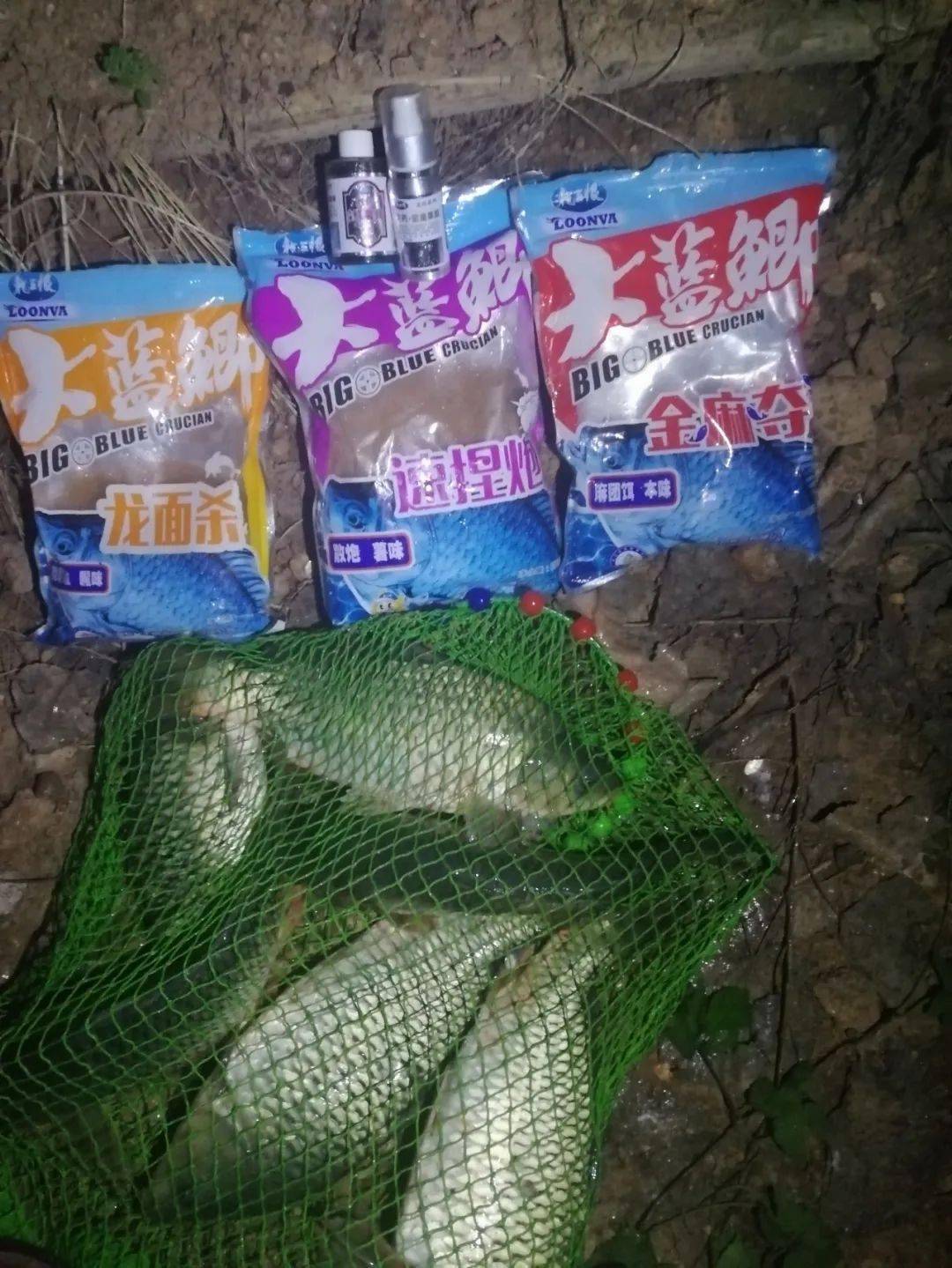 钓药红稍技巧(如何钓红梢)