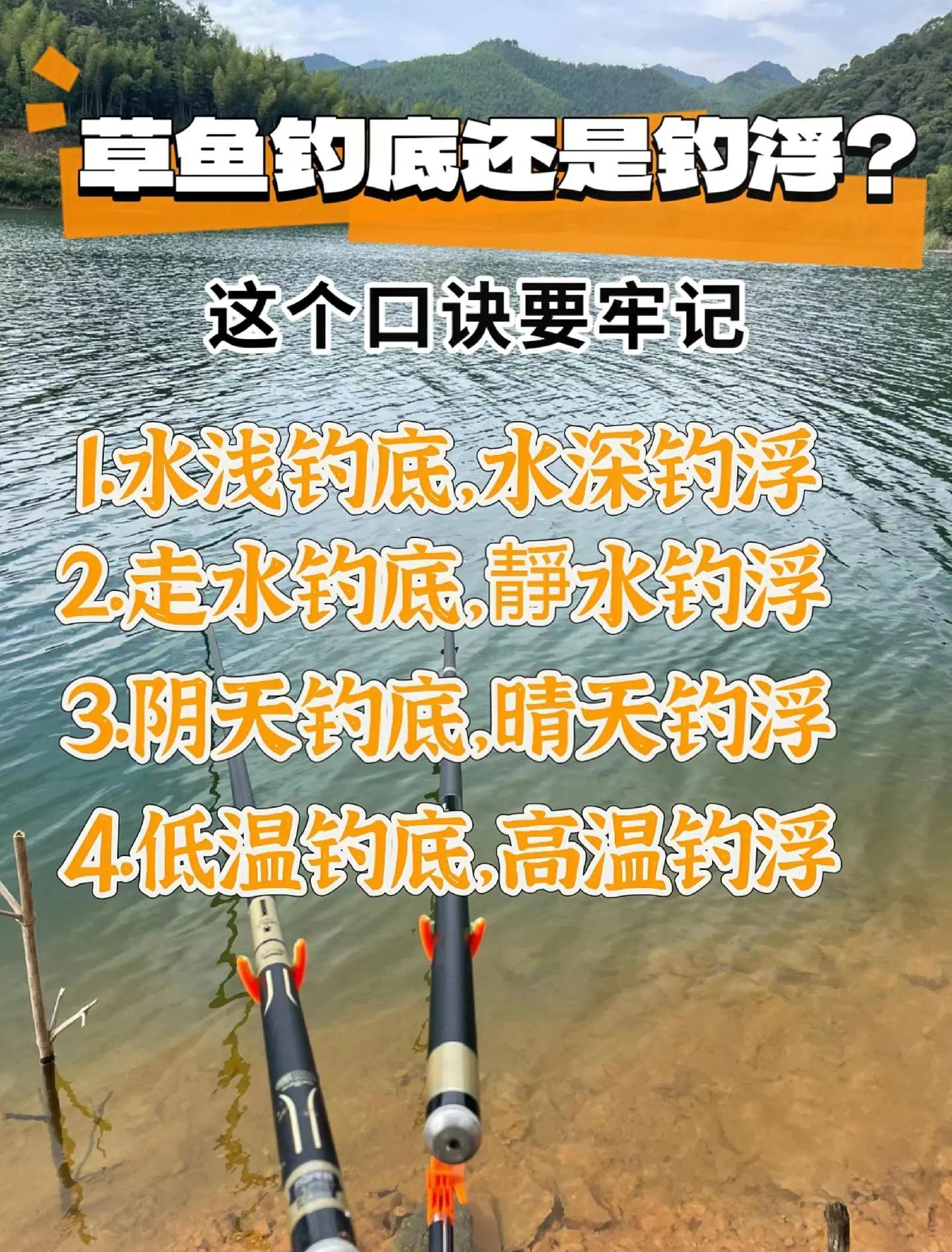 夏季阴雨天钓草鱼技巧(夏季阴雨天如何钓草鱼)