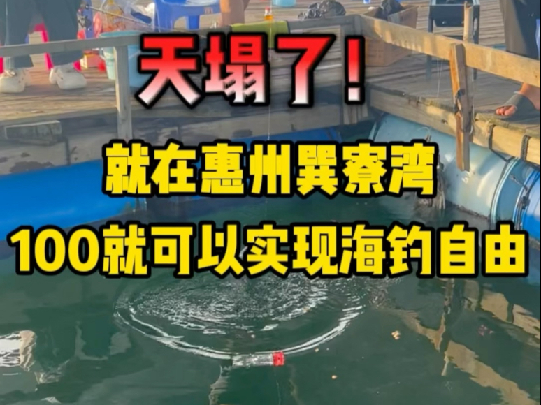 可以海钓的渔村(能海钓的旅游景点)