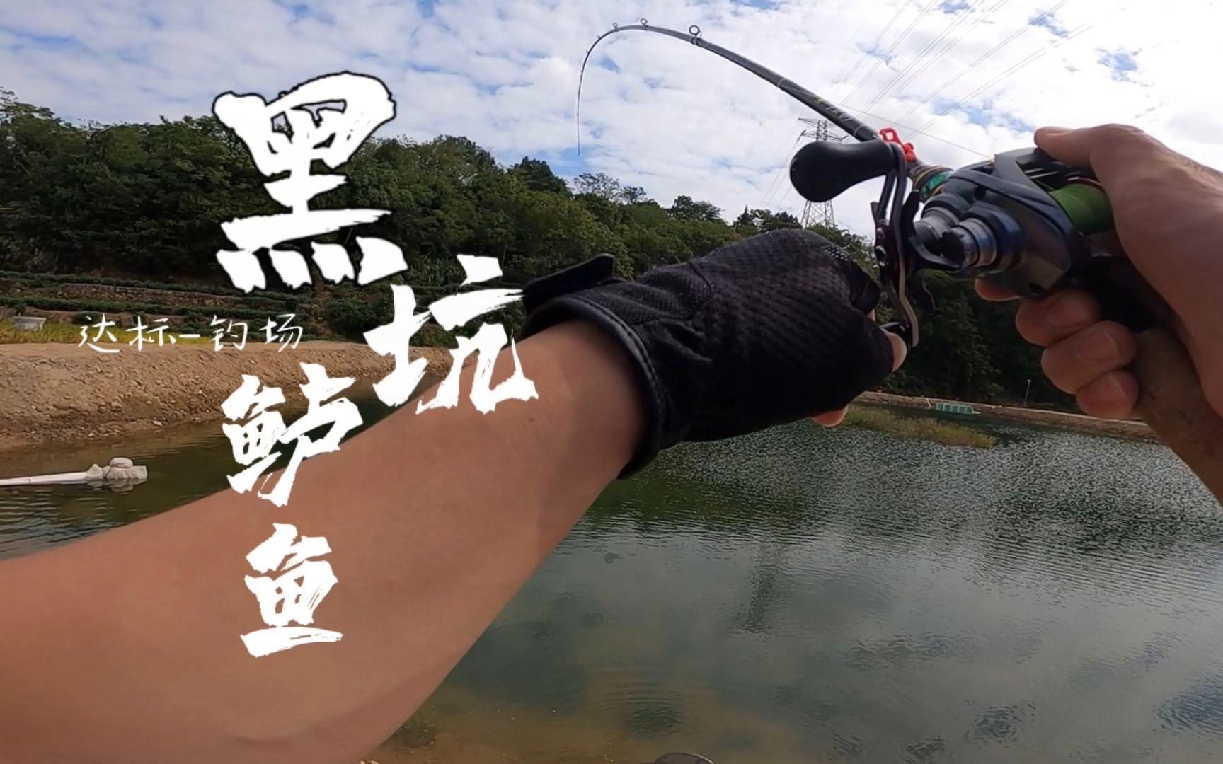 路亚钓鲈鱼的手法(路亚钓鲈鱼的手法图解)