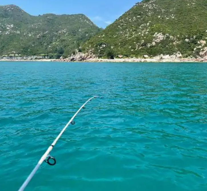 广西海钓论坛(广西钓鱼网广西钓鱼论坛)