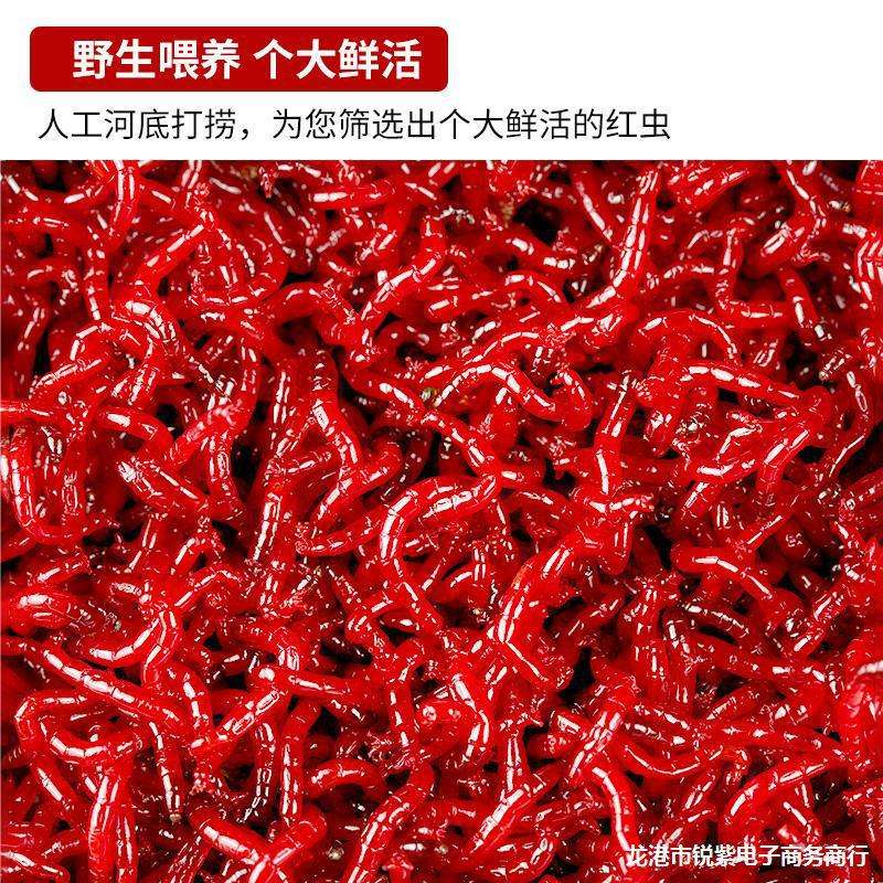红虫开饵料(红虫开饵技巧视频)