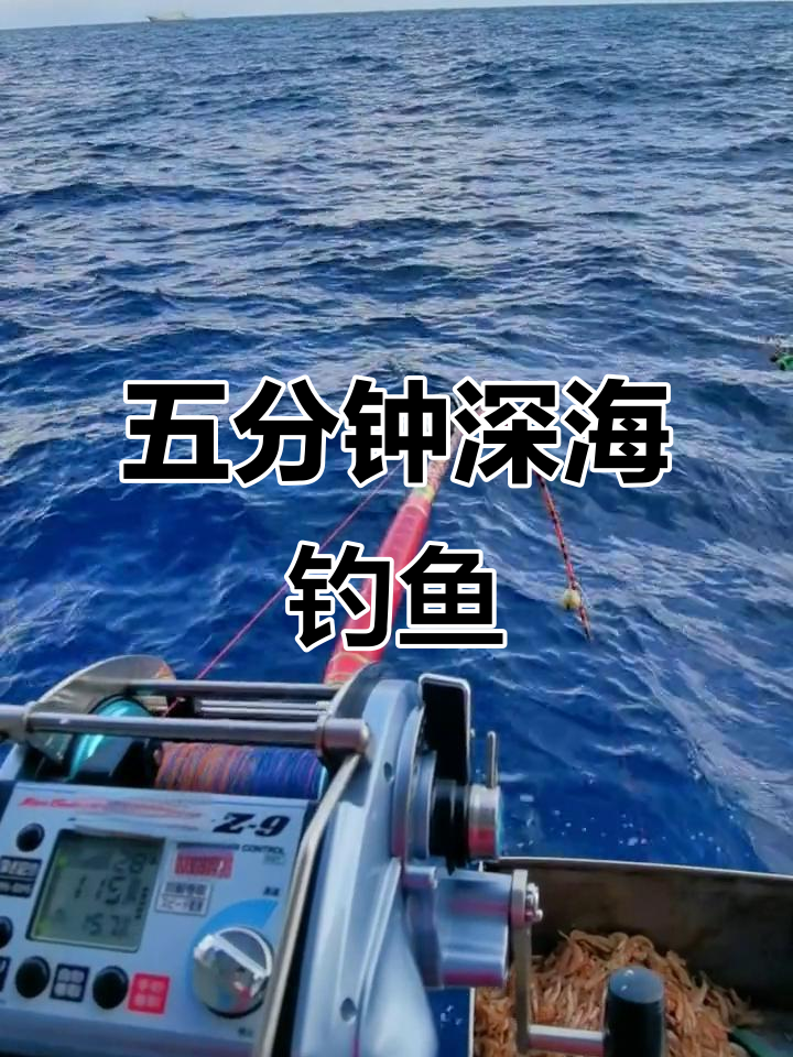 贵阳深海钓(贵阳哪里可以钓大鱼)
