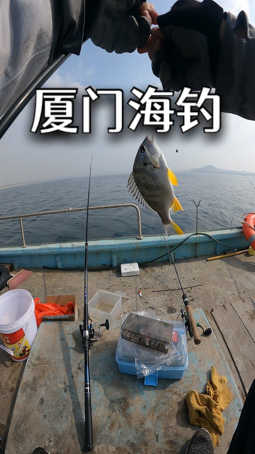 国内海钓体验(海钓平台)