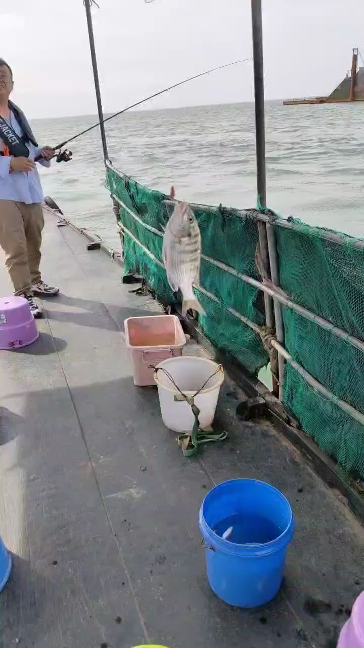 北海海钓近岸(北海海钓近岸还是远岸)