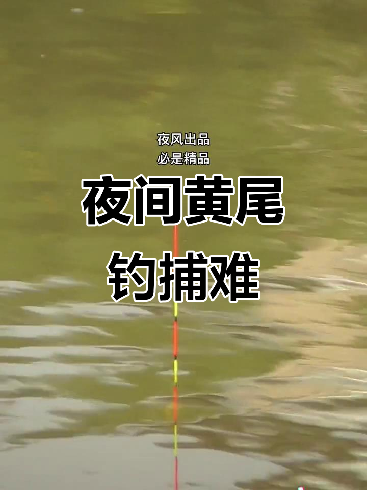 垂钓黄尾的技巧(垂钓黄尾鲴经典配方)