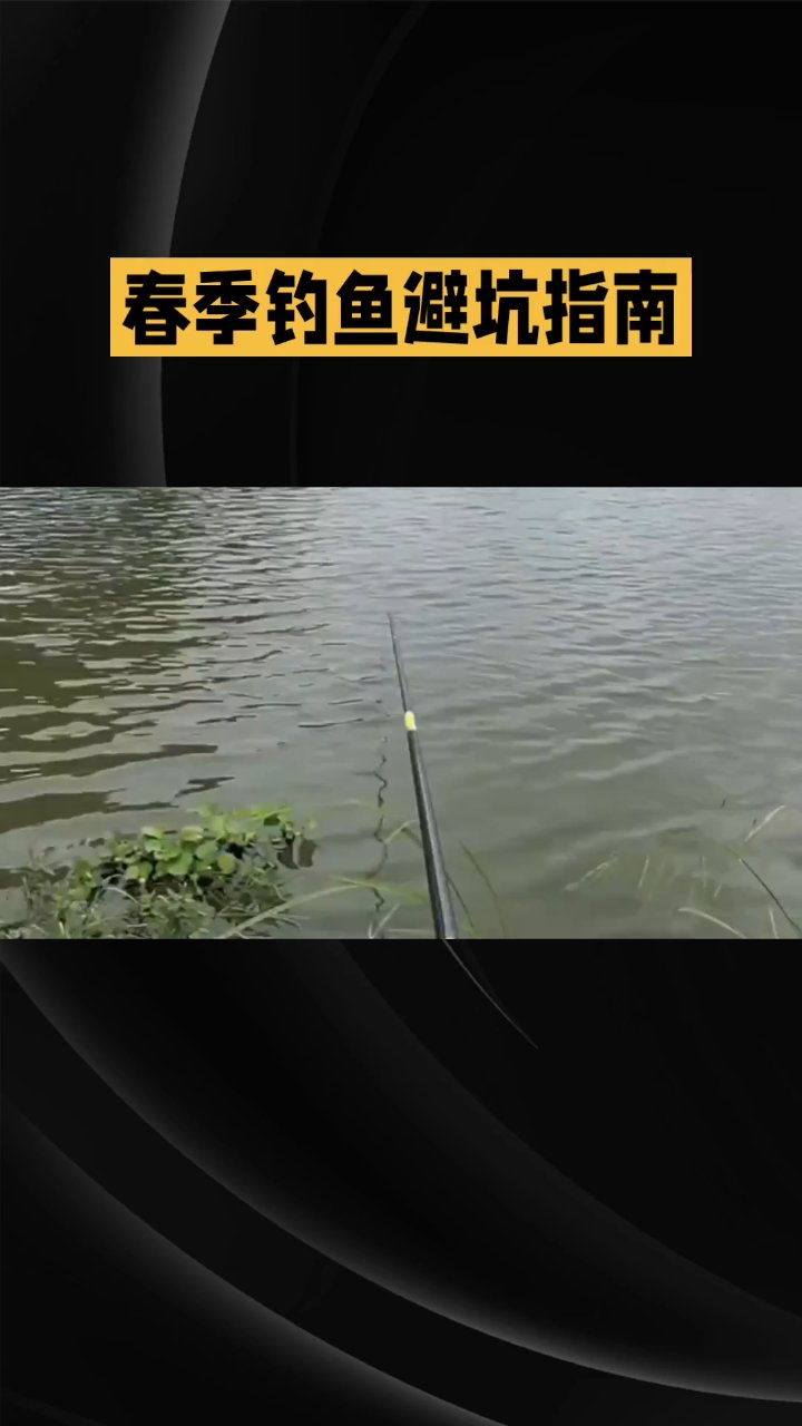 春季台钓钓鱼技巧(春天台钓用什么饵料)