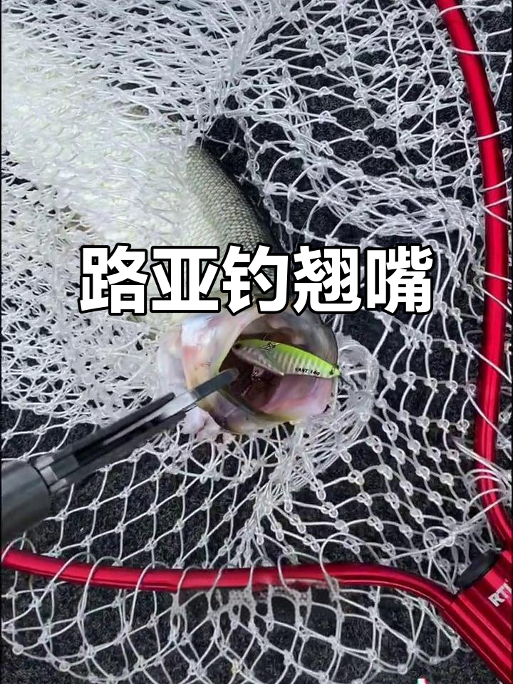 河流路亚打法(河流怎么路亚)