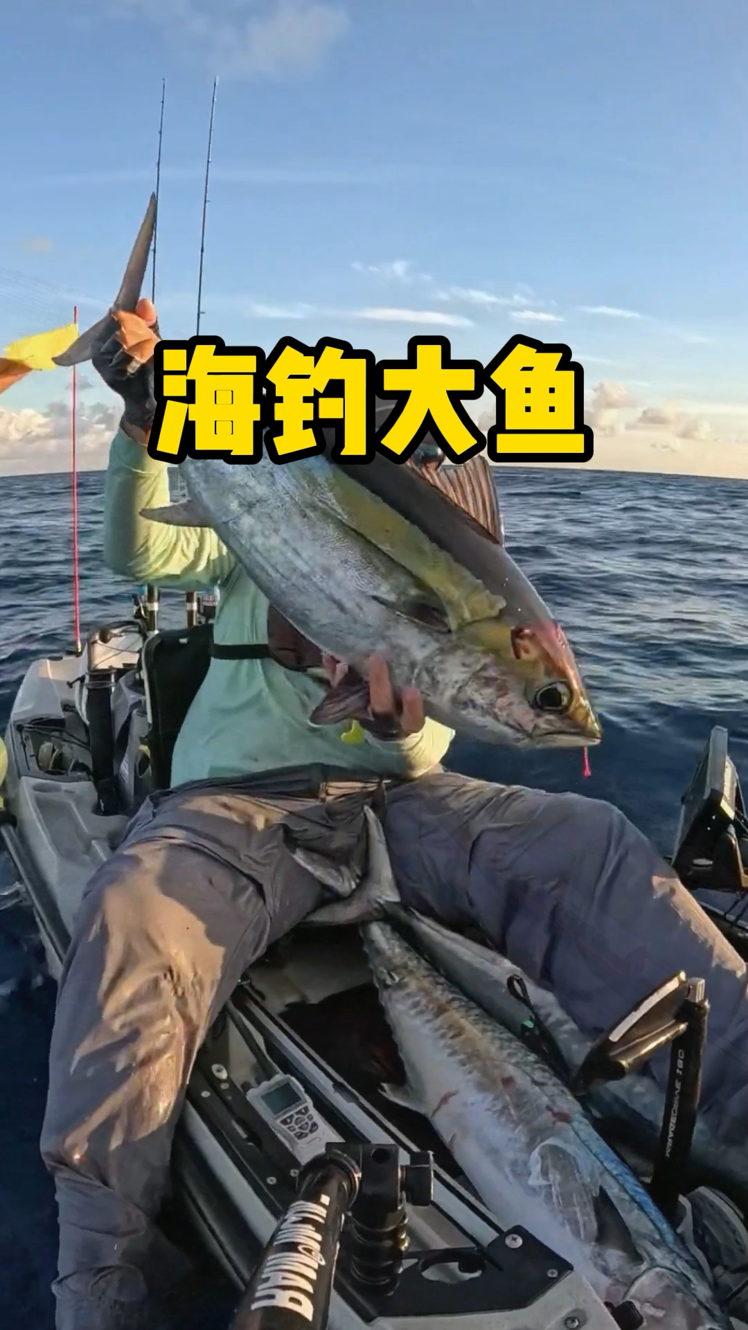 海钓千斤大鱼(海钓超大鱼)