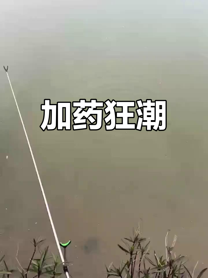 饵料加酒(饵料加酒米钓鱼)