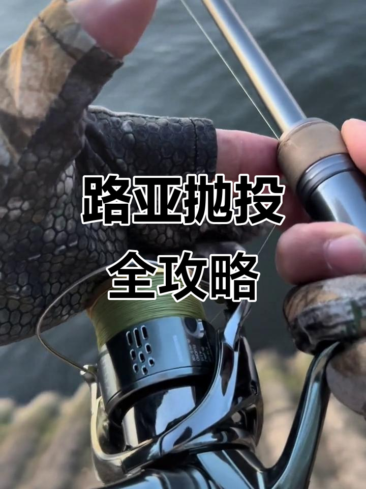 路亚规则(路亚jig)