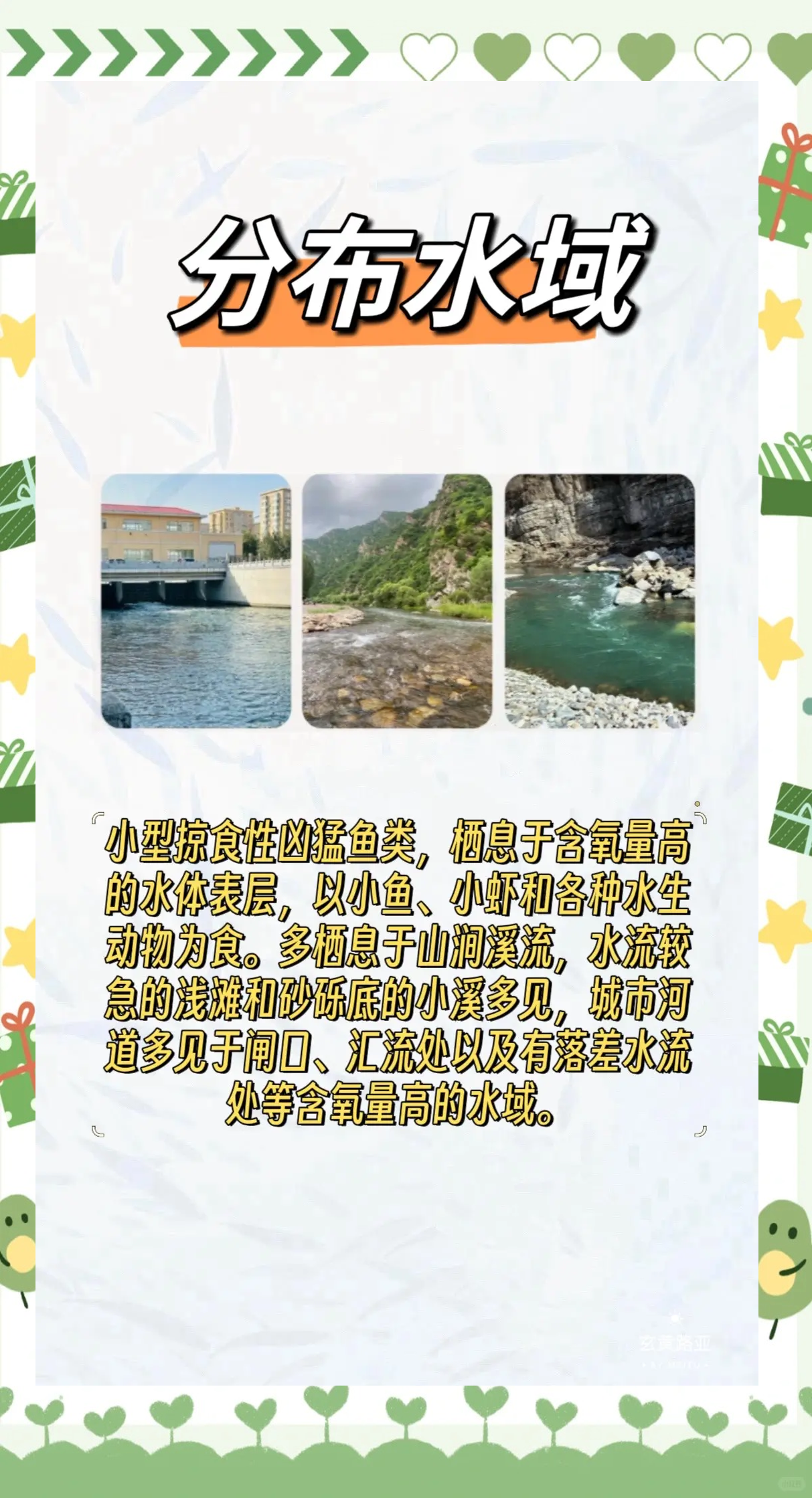 路亚钓马口的技巧(路亚钓马口线组图解)