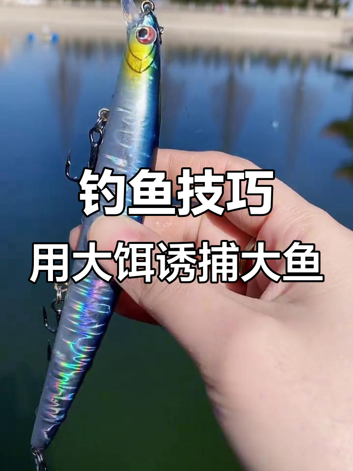 钓大鱼饵料技巧(钓大鱼饵料技巧和方法)
