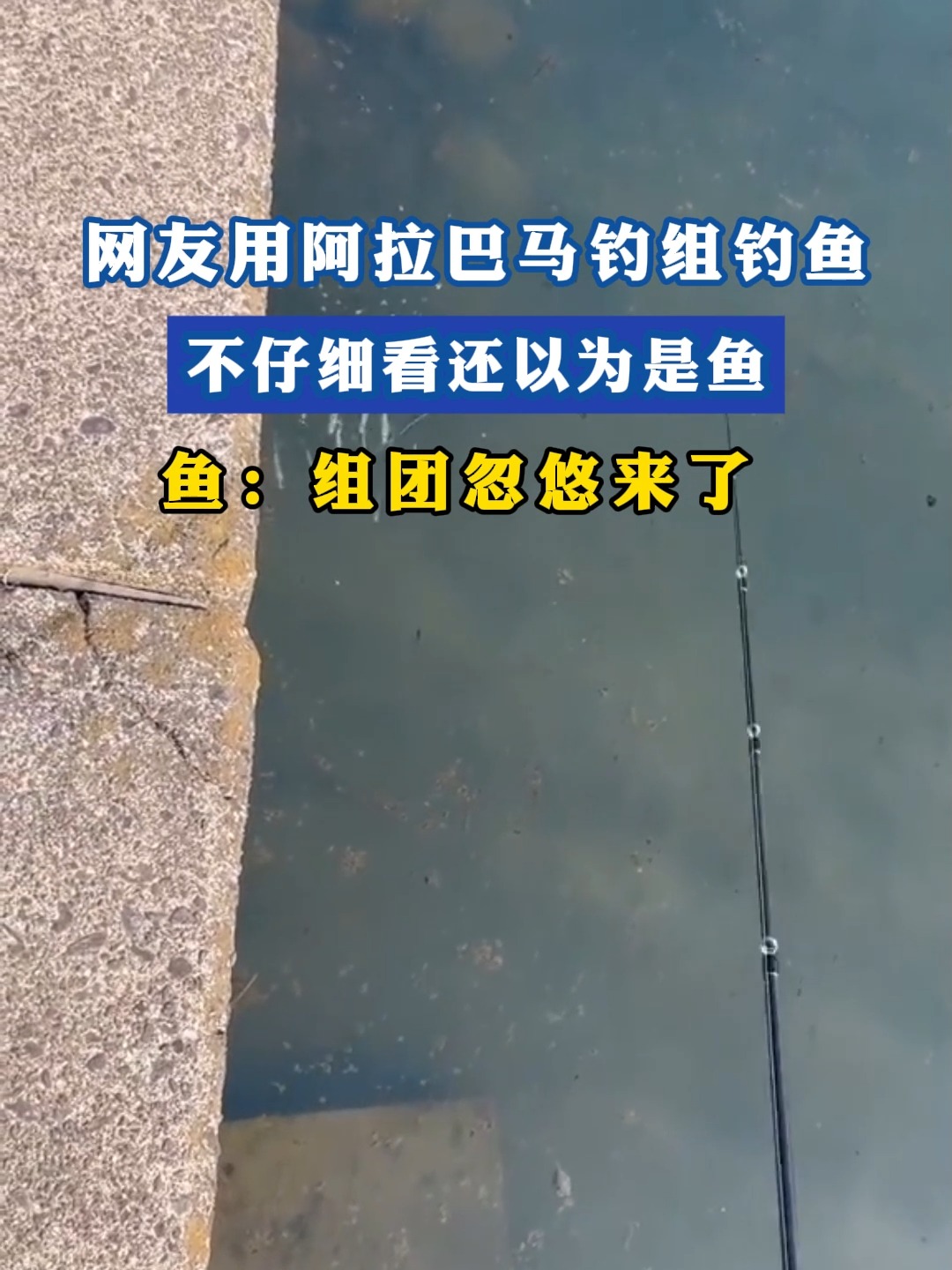 路亚阿拉巴马钓组(阿拉巴马强度)