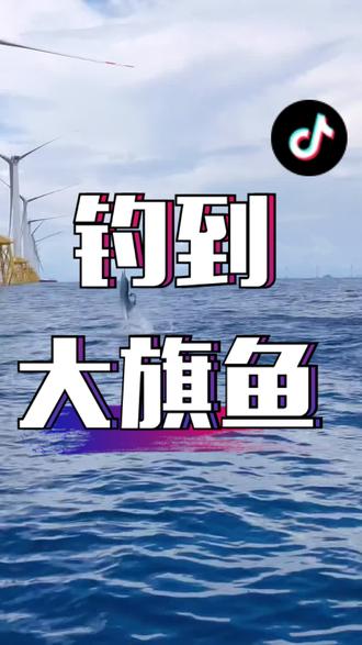 台山海钓船费(台山岛海钓)