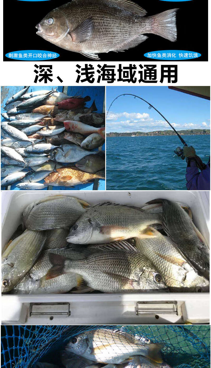 海钓泥蜢的钓饵(泥猛钓饵)
