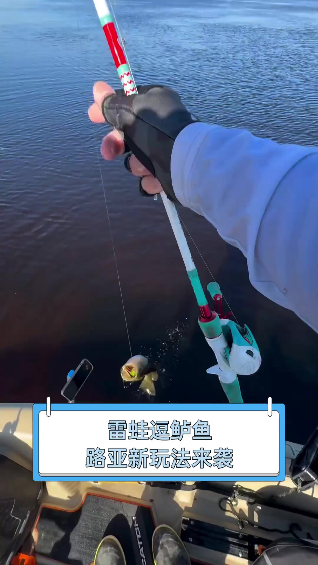 路亚巡捕与雷蛙的区别(路亚雷蛙钓鱼视频)