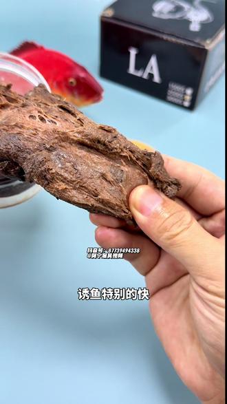 海钓下如何制作饵料(海钓怎么自制窝料)