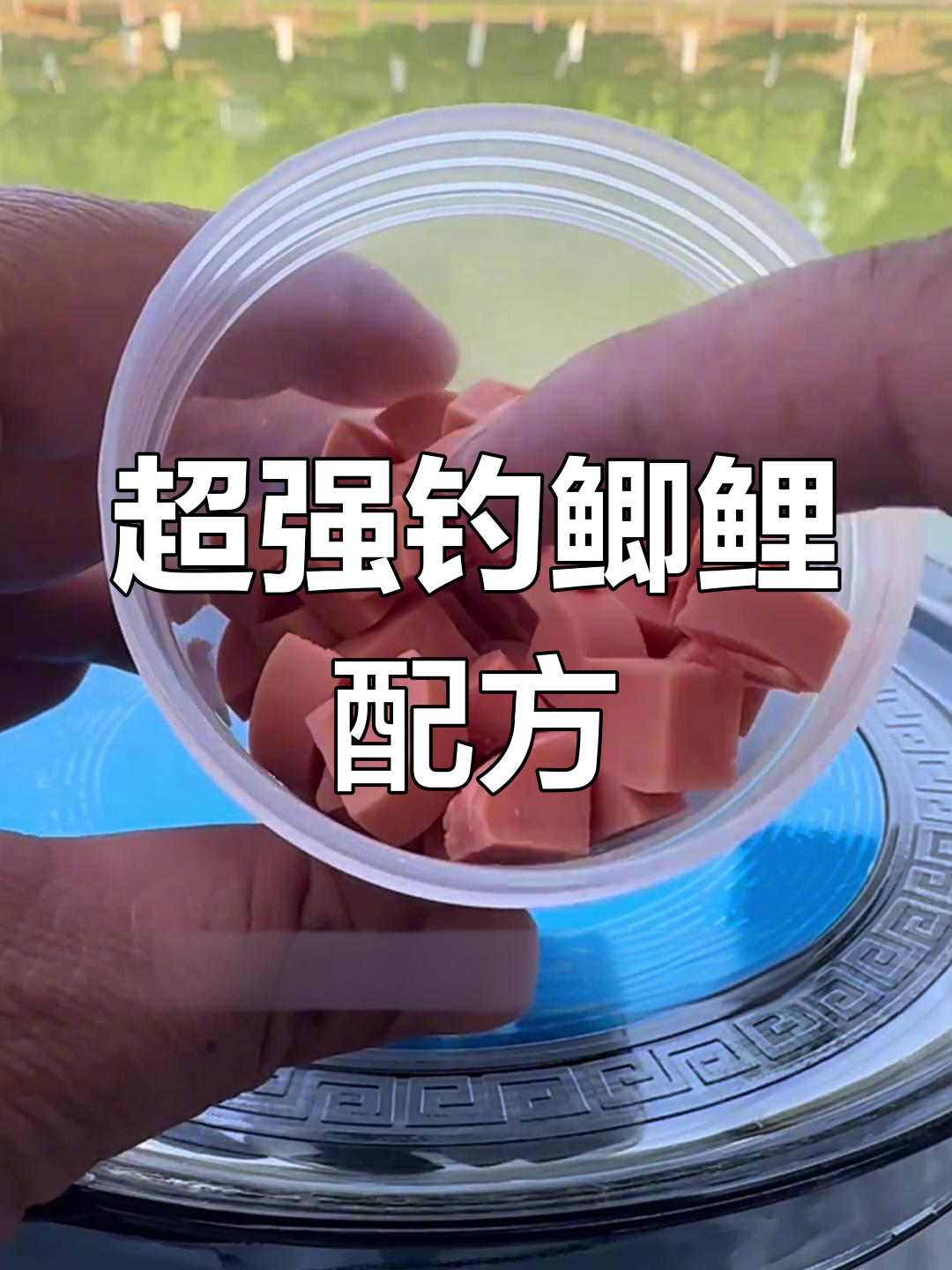 秋钓鱼饵料搭配(秋季的鱼饵该怎样调制)