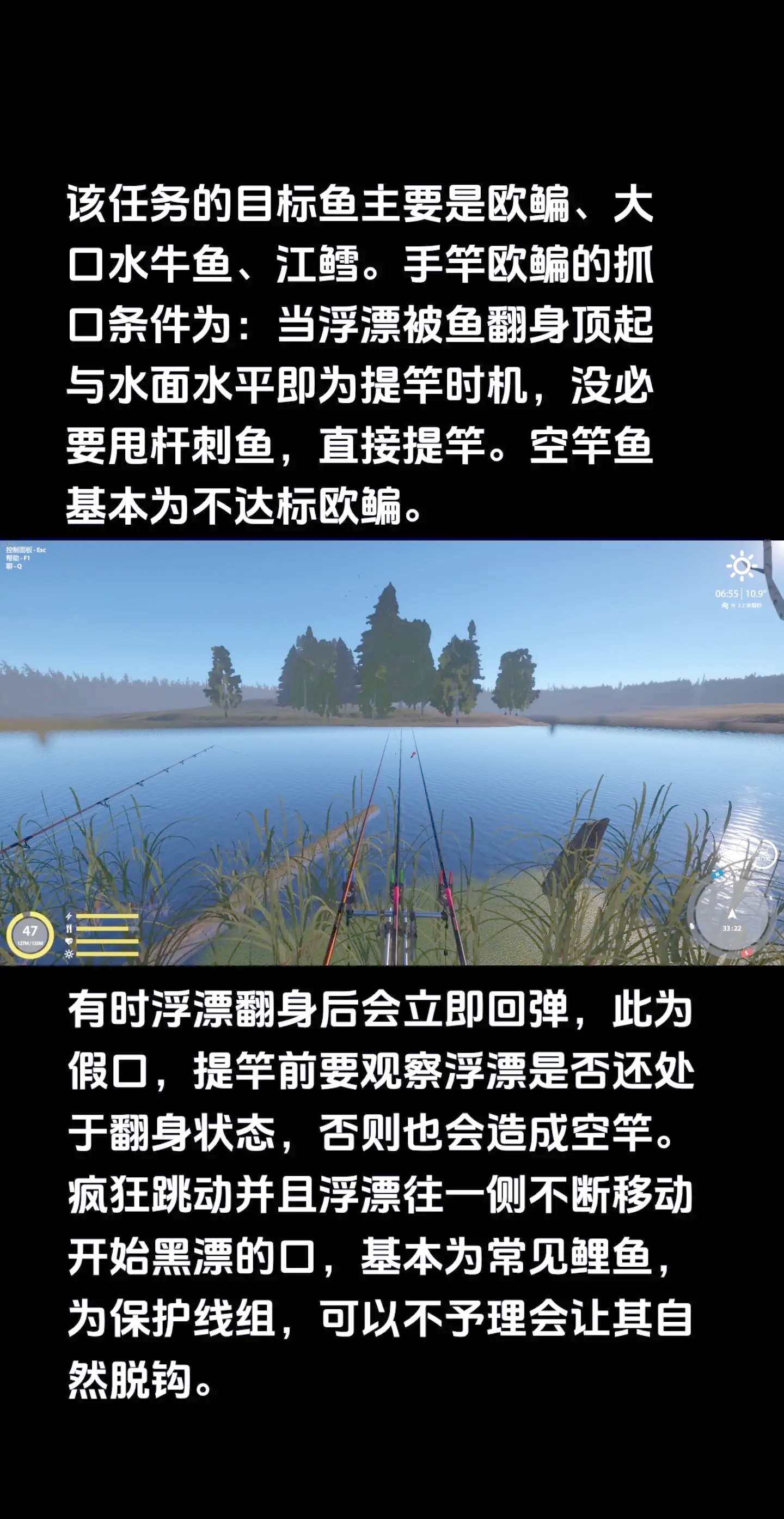 池塘水深钓鱼技巧(池塘水深多少米)