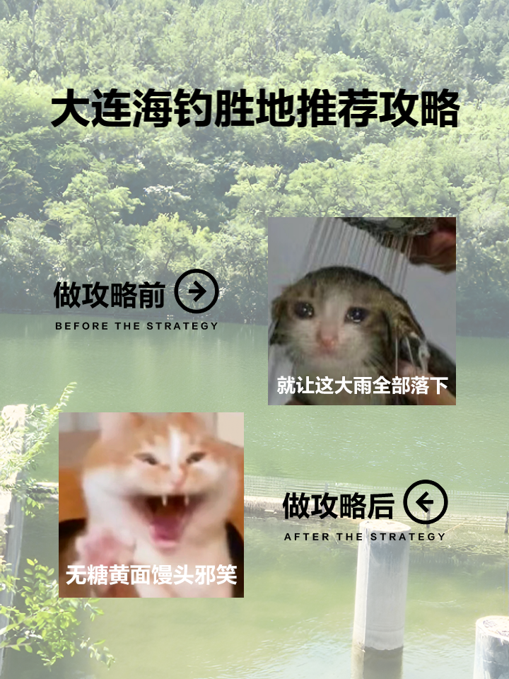 大连海钓区域(大连市海钓好去处)