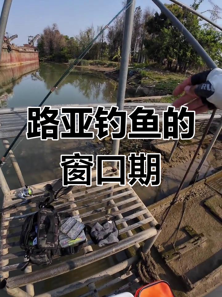 如何钓场路亚(路亚怎么找钓点)