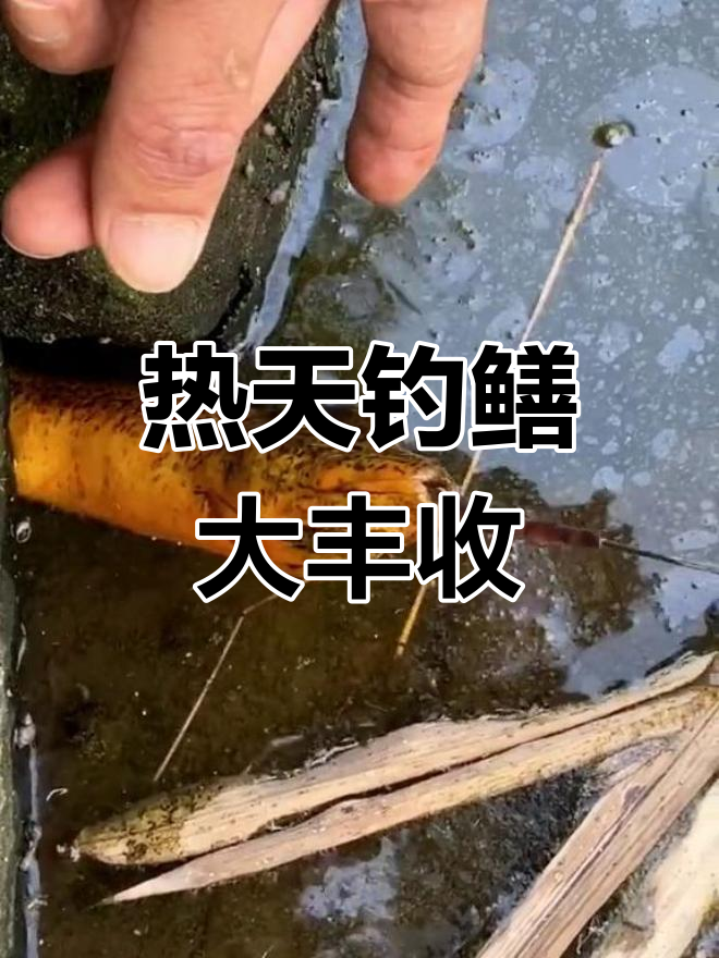 钓热塘技巧(热了钓鱼怎么钓)
