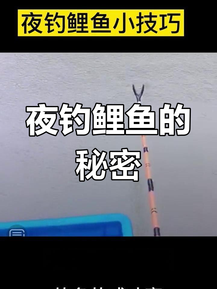 晚上黑坑钓鲤鱼技巧(晚上钓黑坑哪个位置好)