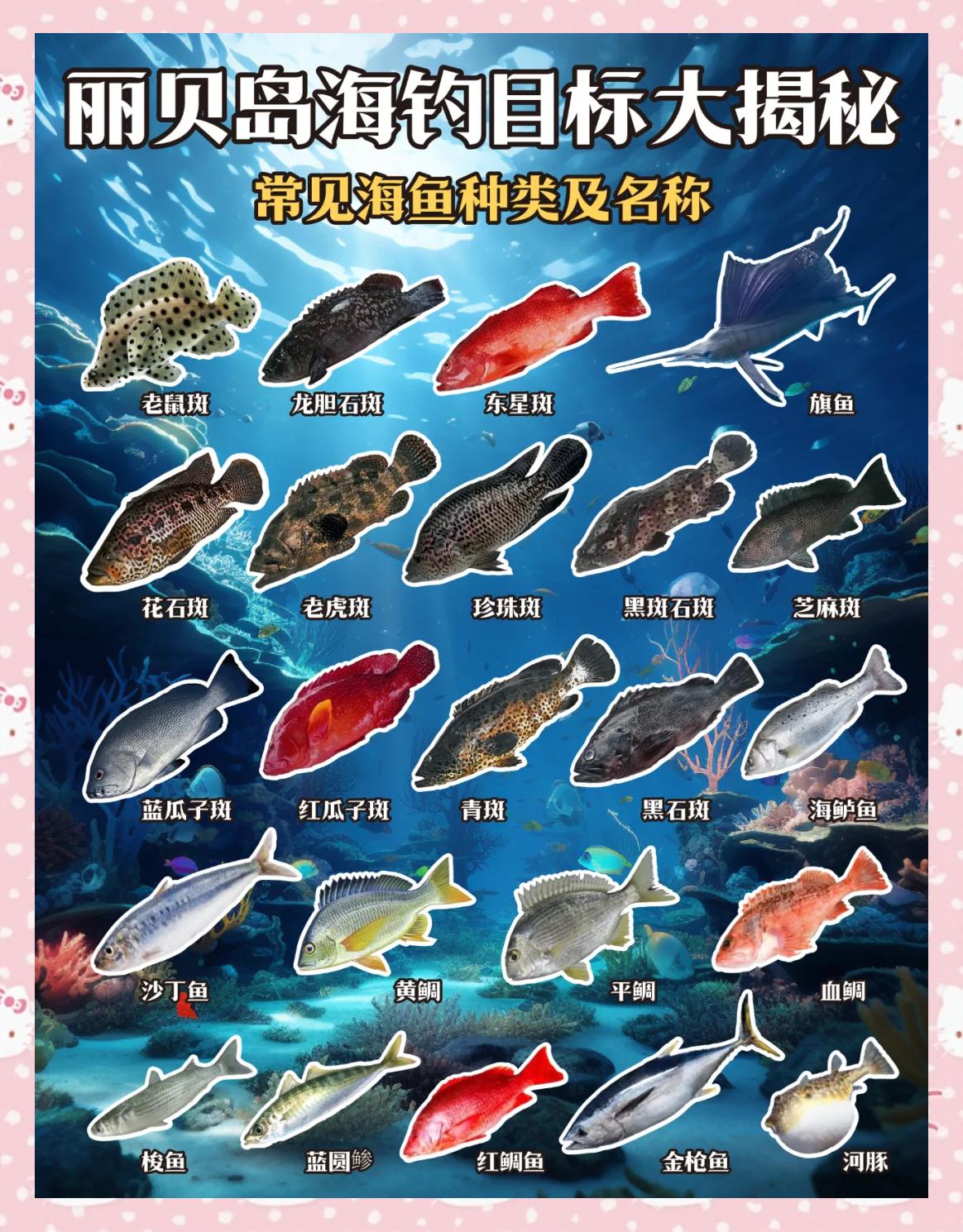 海钓库钓区别(海杆库钓)