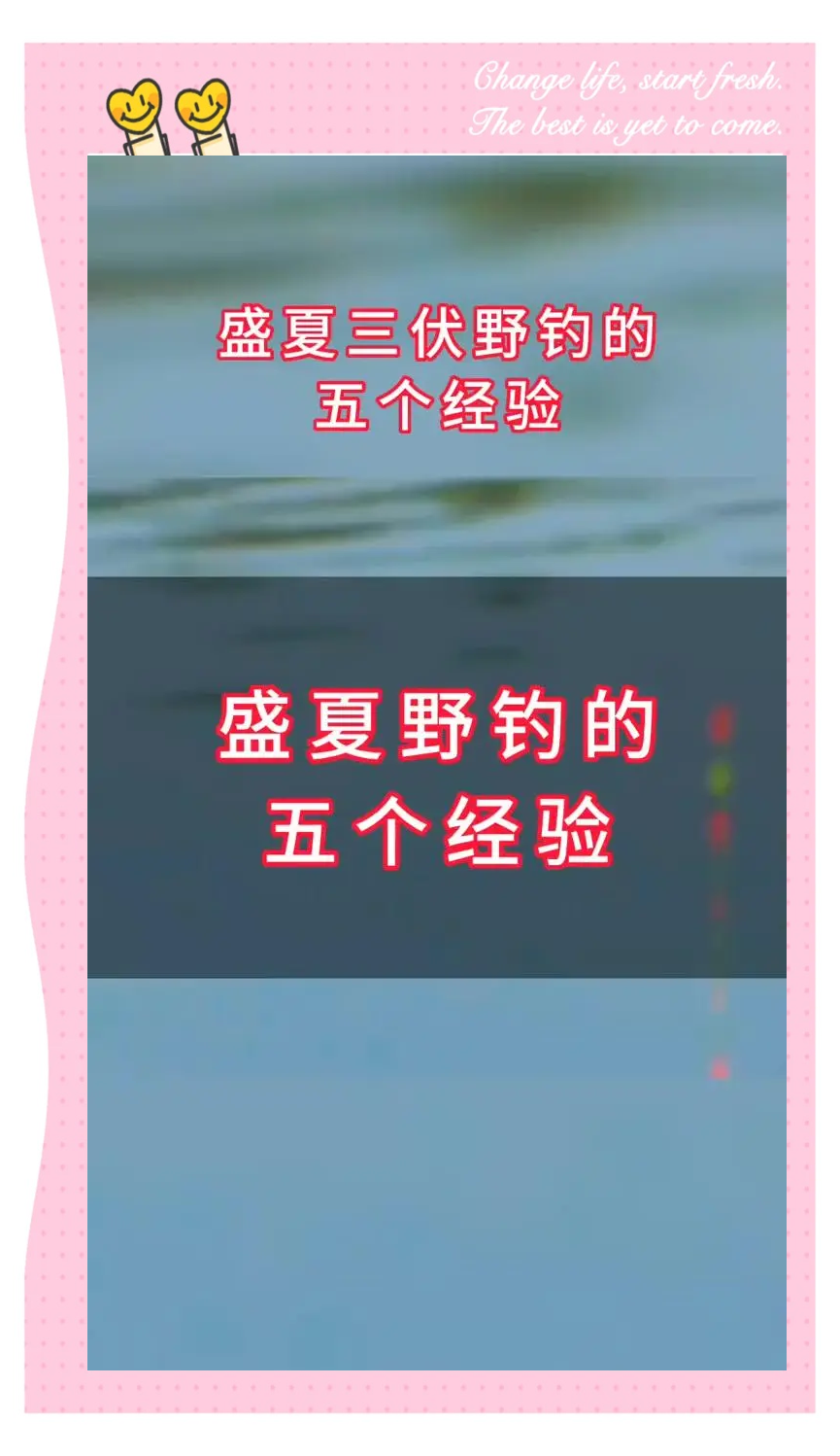 伏天海钓(伏天钓鱼怎么钓)
