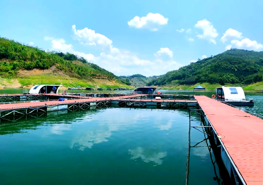 万峰湖钓鱼技巧(万峰湖笩钓)