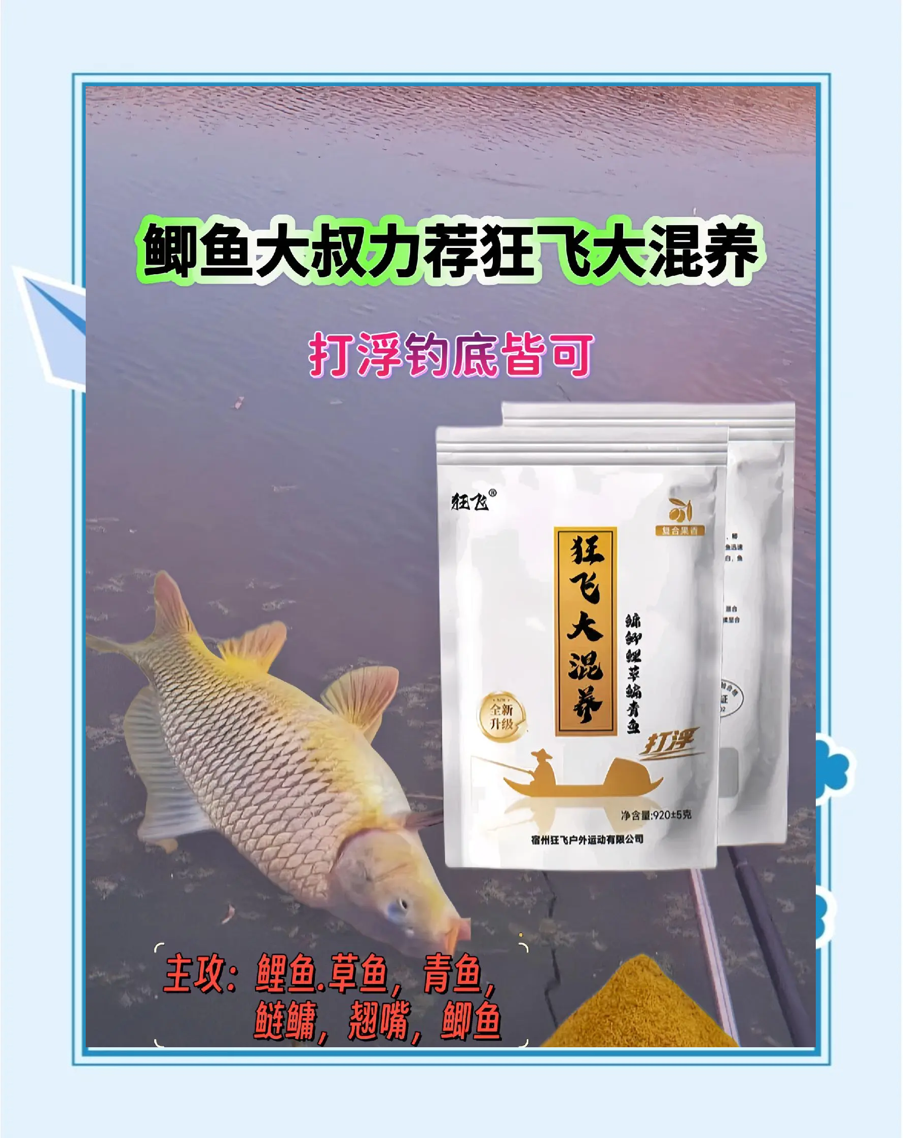 风狂鲤饵料(狂鲤风暴怎么样)