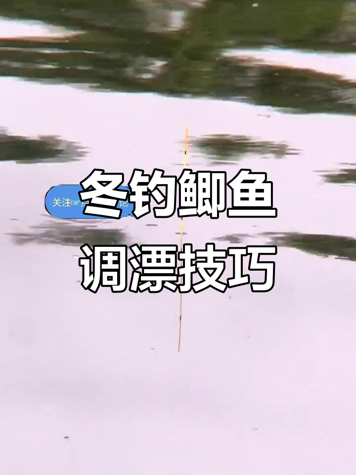 冬季钓鲫调漂技巧(冬季钓鲫鱼如何调漂)