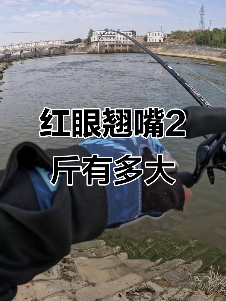 红眼用什么路亚(钓红眼用什么路亚竿好)