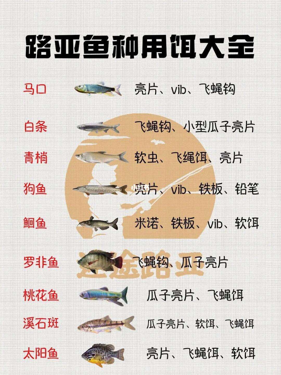 路亚饵料玩法(路亚饵料介绍和对应的鱼)