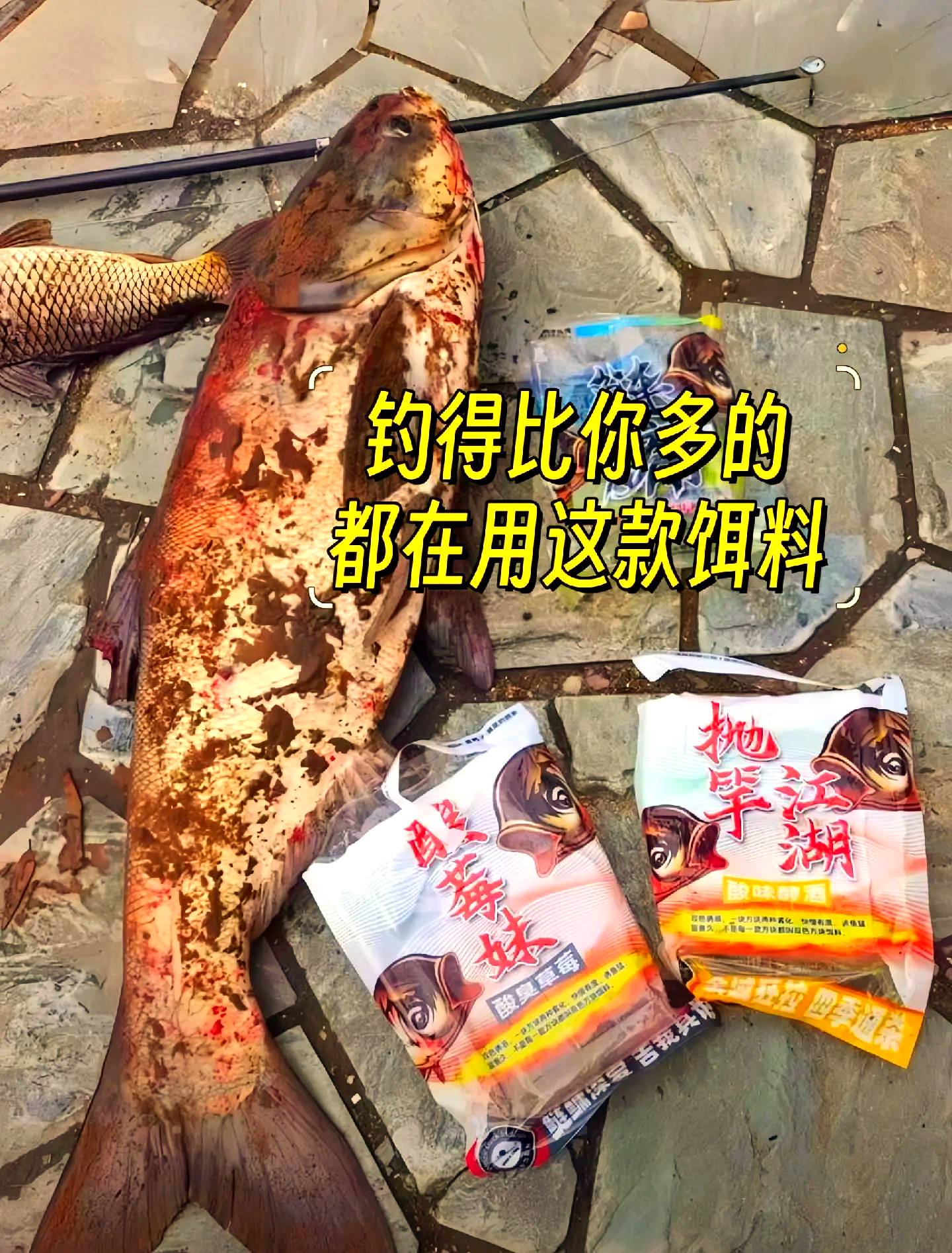 简单自制鳙鱼饵料(自制鳙鱼饲料配方)