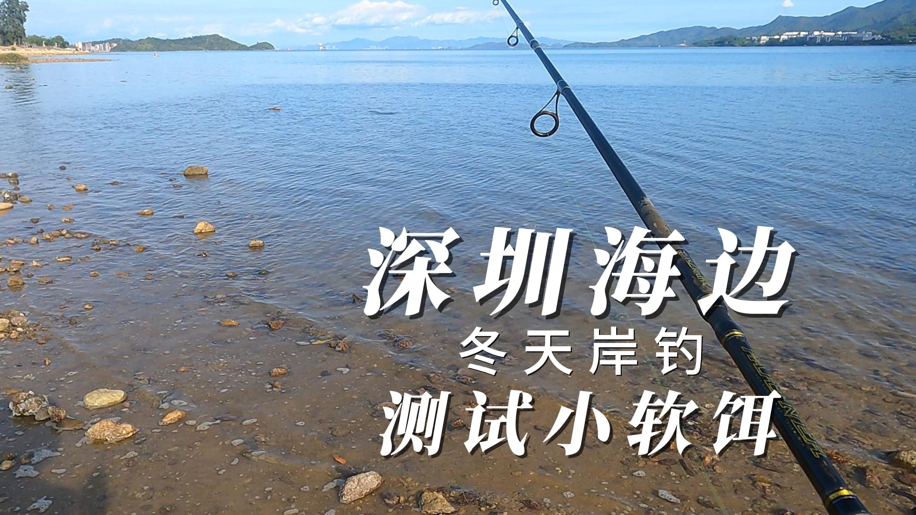 浅滩路亚(浅滩路亚钓马口)