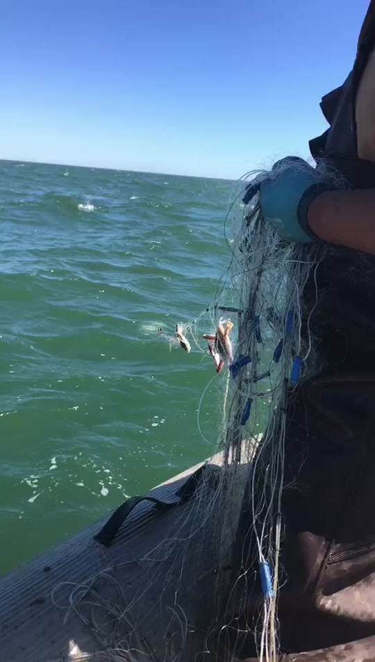 海钓有那些(海钓推荐)