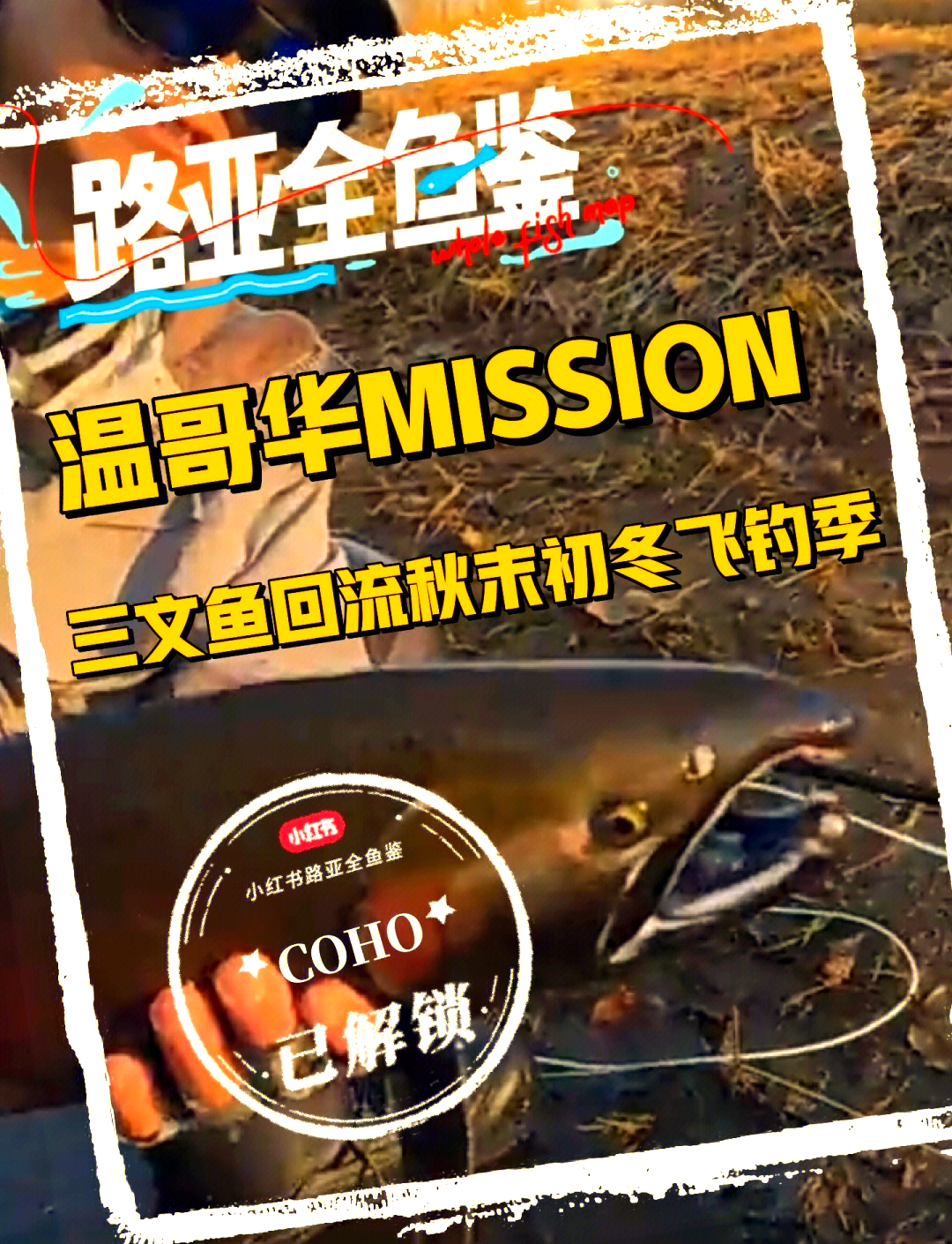 在温哥华路亚钓(路亚钓法图解)