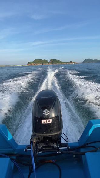 看海钓鱼轮(海钓轮子)