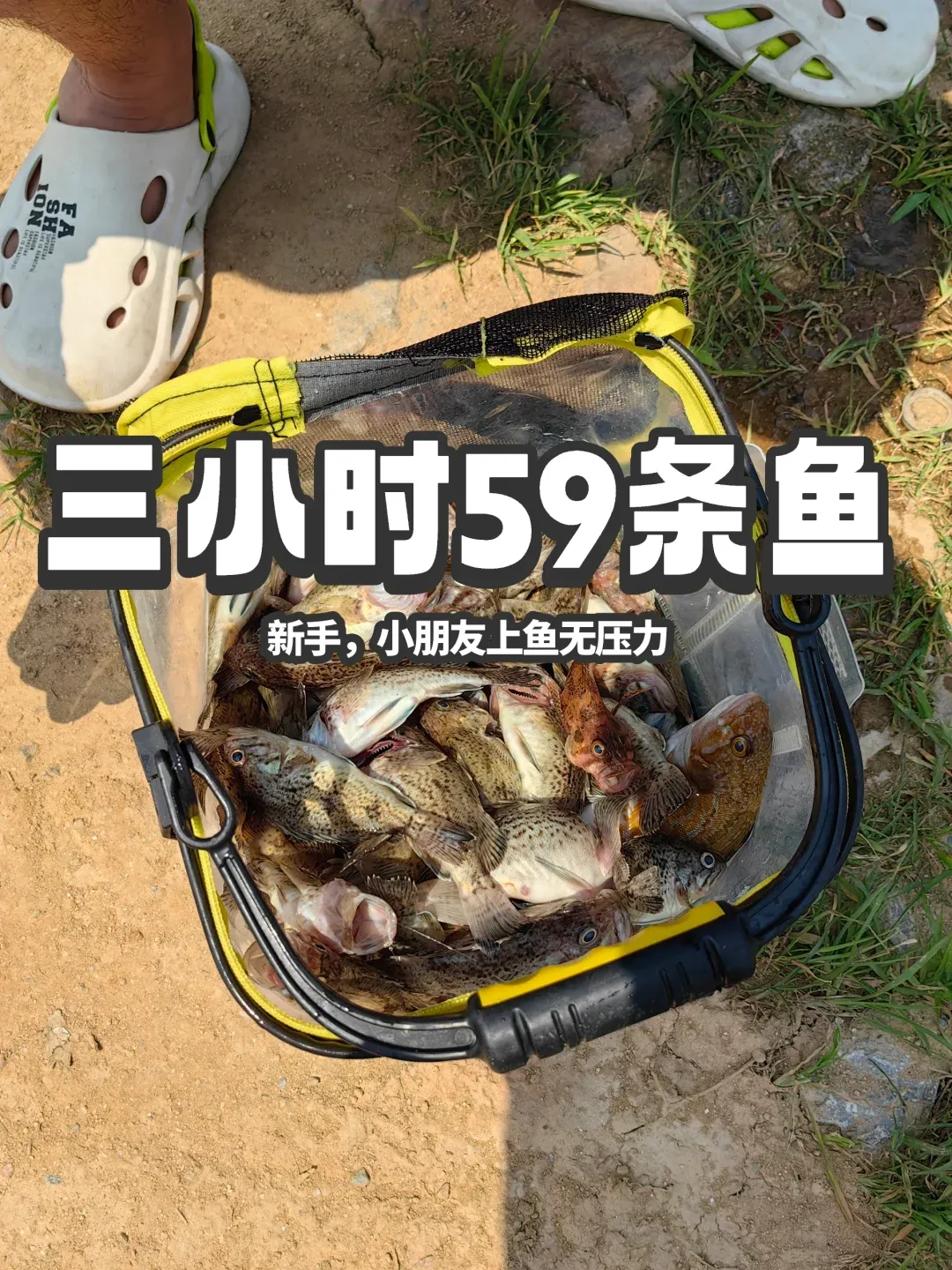 秦皇岛鹏海钓(秦皇岛海钓地点介绍)