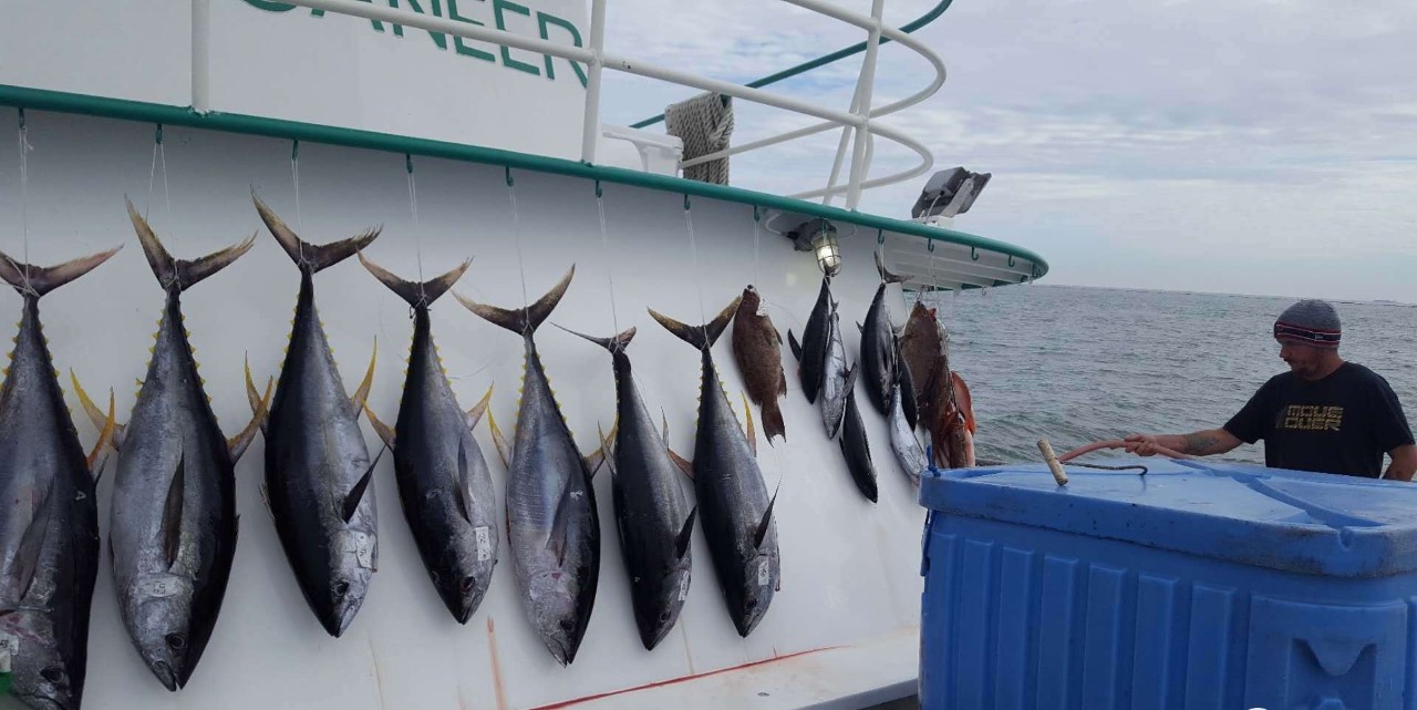 朝圣墨西哥湾海钓(朝鲜向韩国西部海域发射海岸炮)