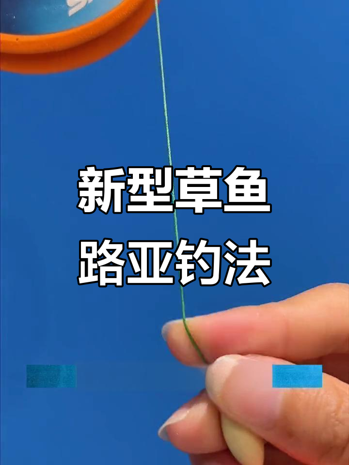 秋季野钓草鱼垂钓技巧(秋季野钓草鱼垂钓技巧和方法)