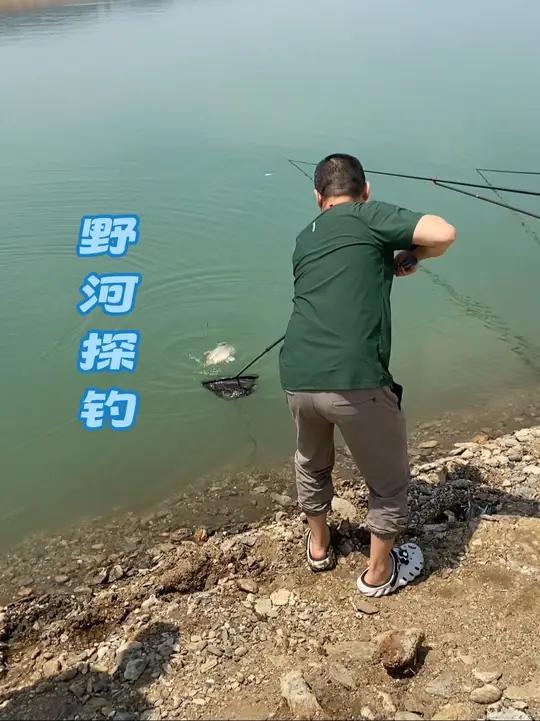 秋天野河钓鱼技巧(秋天野河怎么钓鱼)